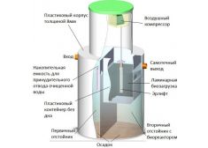 Биозон 15